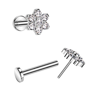 TIT1347-1008 Piercing do brady - PUSH IN labreta TITAN