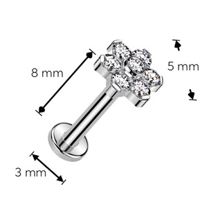 TIT1347-1208 Piercing do brady - PUSH IN labreta TITAN