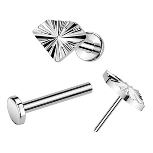 TIT1359-1208 Piercing do brady - PUSH IN labreta TITAN