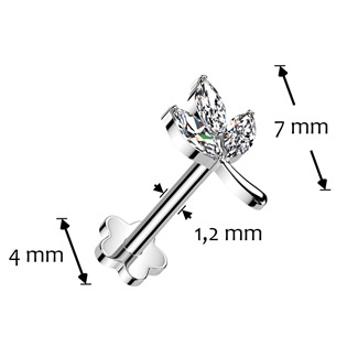 TIT1361 Piercing do brady - PUSH IN labreta TITAN