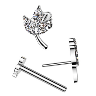 TIT1361 Piercing do brady - PUSH IN labreta TITAN
