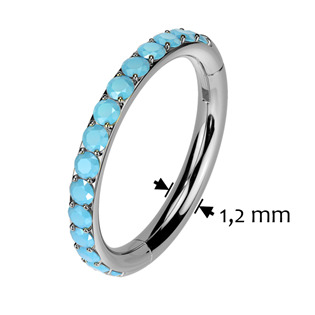 TIT1372-1210 Segment kruh - helix / cartilage / tragus piercing TITAN