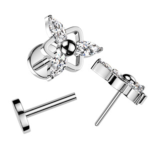 TIT1402 Piercing do brady - PUSH IN labreta TITAN