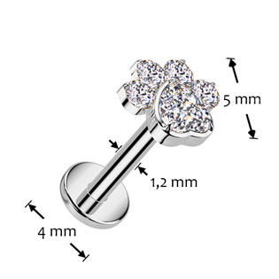 TIT1423-1208 Piercing do brady - labreta TITAN