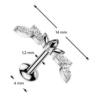 TIT1622-1208 Piercing do brady - labreta TITAN