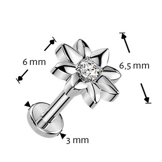 TIT1628 Piercing do brady kytička - PUSH IN labreta TITAN