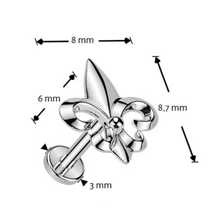 TIT1629 Piercing do brady - PUSH IN labreta TITAN