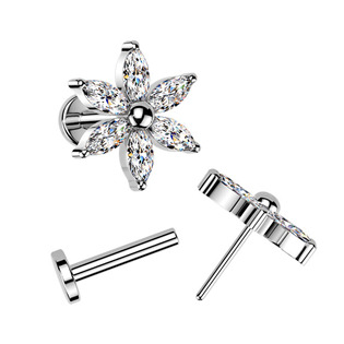 TIT1632 Piercing do brady kytička - PUSH IN labreta TITAN
