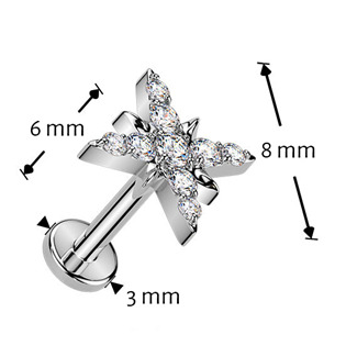 TIT1634 Piercing do brady hvězdička - PUSH IN labreta TITAN