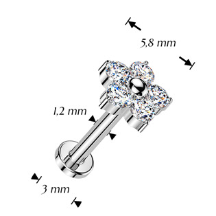 TIT1638-1006 Piercing do brady kytička - PUSH IN labreta TITAN