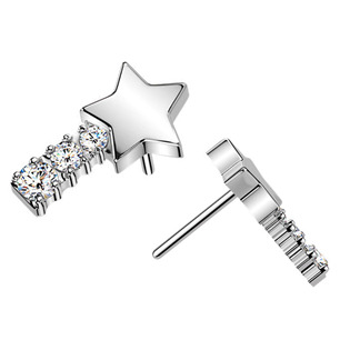 TIT1662 Ozdobná část k PUSH IN piercingu TITAN