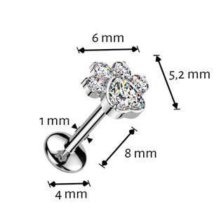 TIT1663 Piercing do brady tlapka - PUSH IN labreta TITAN