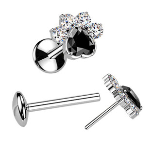 TIT1664 Piercing do brady tlapka - PUSH IN labreta TITAN
