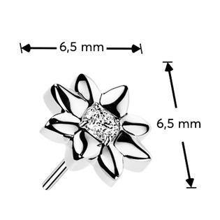 TIT1669 Ozdobná část k PUSH IN piercingu TITAN