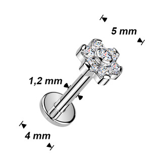 TIT1693-1206 Piercing do brady - labreta kytička TITAN