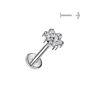 TIT1693-1208 Piercing do brady - labreta kytička TITAN
