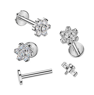 TIT1693-1208 Piercing do brady - labreta kytička TITAN