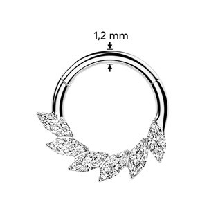 TIT1706-1208 Segment kruh - septum / helix / cartilage / tragus piercing TITAN