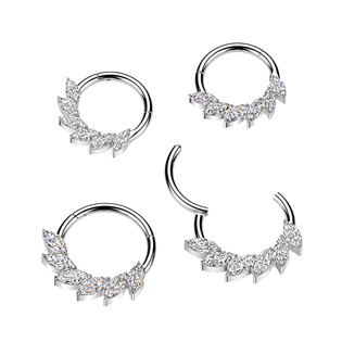 TIT1706-1208 Segment kruh - septum / helix / cartilage / tragus piercing TITAN