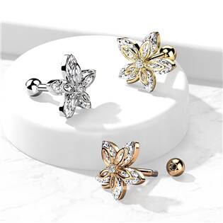 CP1086-RD Cartilage piercing do ucha