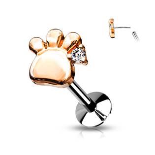 LB1087-GDC Piercing do brady - tlapka 1,2 x 8 mm