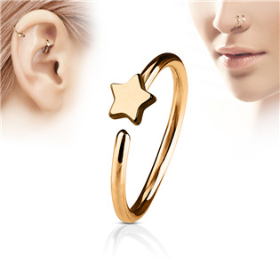 N0053-RD Zlacený piercing do nosu/ucha kruh s hvězdou