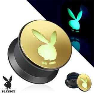 PL01165-16 Akrylátový plug do ucha Playboy