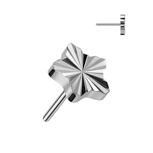 TIT1245-TI Hvězdička k PUSH IN piercingu TITAN
