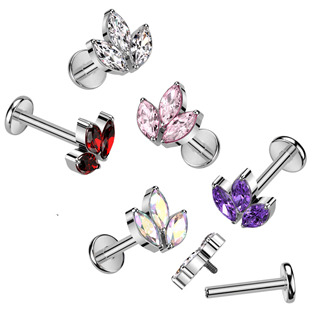 TIT1262C-1208 Piercing do brady - labreta TITAN