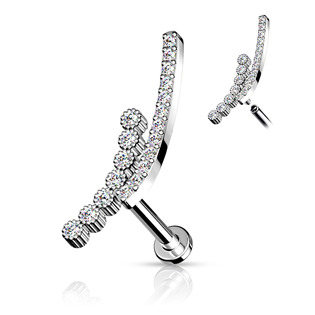 LB1091C-1206 Piercing do brady se zirkony