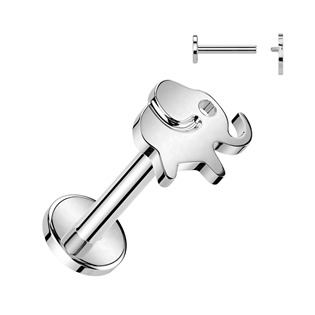 TIT1312-1206 Piercing do brady slon - TITAN