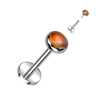 TIT1321 Piercing do brady - PUSH IN labreta TITAN