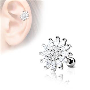 CP1030-C Cartilage piercing do ucha