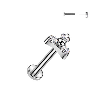 TIT1346-1208 Piercing do brady - PUSH IN labreta TITAN