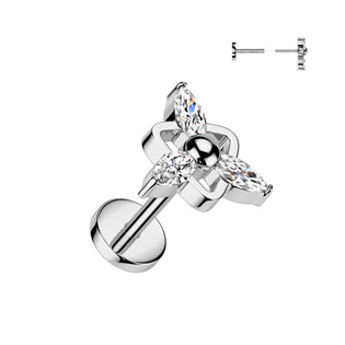 TIT1402 Piercing do brady - PUSH IN labreta TITAN