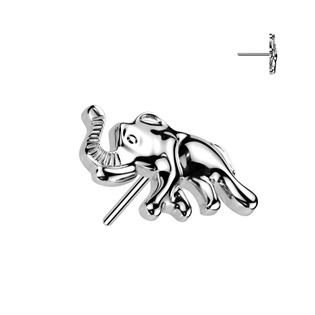 TIT1533 Ozdobná část k PUSH IN piercingu TITAN