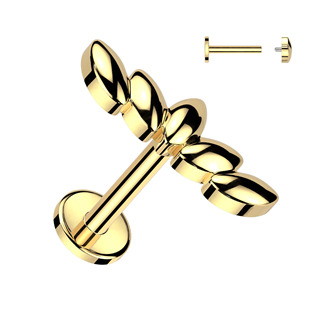 LB1119-1208 Piercing do brady labreta / cartilge