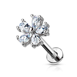 c Piercing do brady - labreta kytička