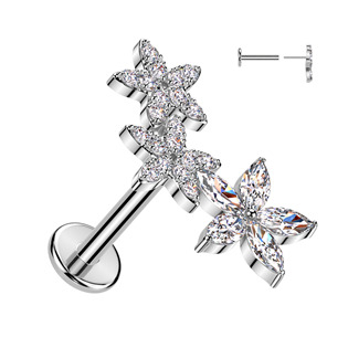 LB1137 Piercing do brady s kytičkami - PUSH IN labreta