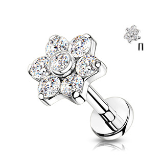 TIT1137-1208 Piercing do brady / ucha TITAN