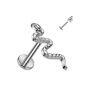 TIT1252-1208 Piercing do brady had TITAN