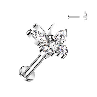 TIT1326-C Piercing do brady - labreta TITAN