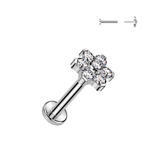 TIT1347-1208 Piercing do brady - PUSH IN labreta TITAN