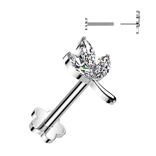 TIT1361 Piercing do brady - PUSH IN labreta TITAN