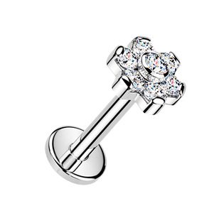 TIT1693-1208 Piercing do brady - labreta kytička TITAN