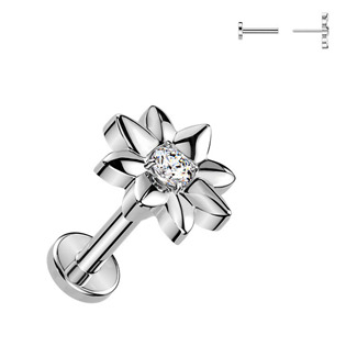 TIT1628 Piercing do brady kytička - PUSH IN labreta TITAN