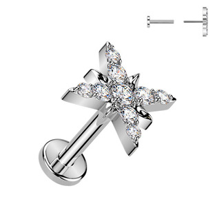TIT1634 Piercing do brady hvězdička - PUSH IN labreta TITAN