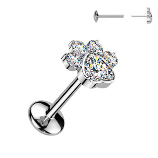 TIT1663 Piercing do brady tlapka - PUSH IN labreta TITAN