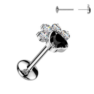 TIT1664 Piercing do brady tlapka - PUSH IN labreta TITAN