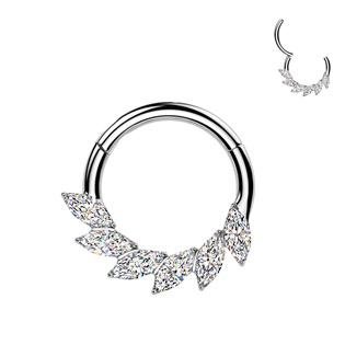 TIT1706-1208 Segment kruh - septum / helix / cartilage / tragus piercing TITAN